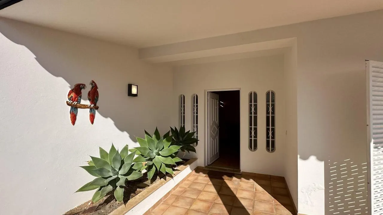 Villa Vivenda Catavento V5 Piscina E 100Mt Praia Da Gale Albufeira Portugal